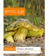 GRZYBNIA GĄSKA ZIELONKA 10g