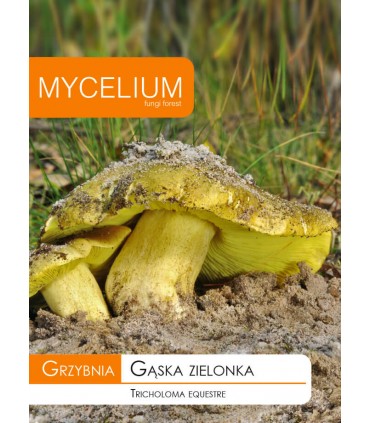 GRZYBNIA GĄSKA ZIELONKA 10g
