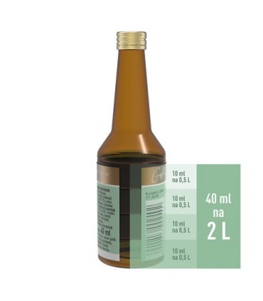 BIN ESENCJA SMAK. GOLD MIĘTOWA 40ml