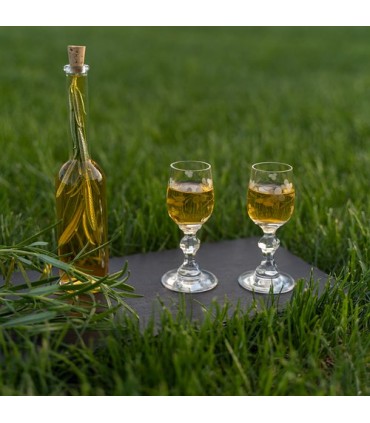 BIN BUTELKA NA NALEWKI 100ml + KOREK 1szt.