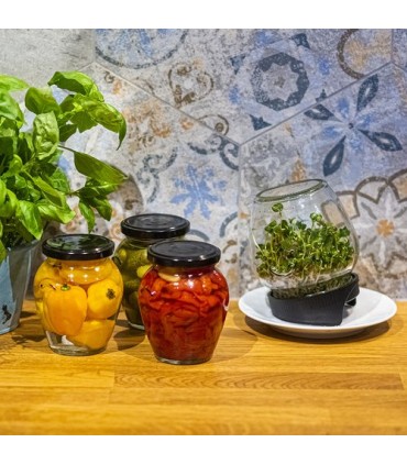 BIN KIEŁKOWNICA SŁOIKOWA TWIST-OFF 