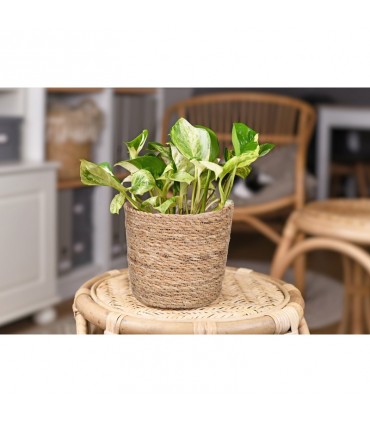 TT - KOSZYK Z TRAWY MORSKIEJ OKRĄGŁY Z FOLIĄ L
