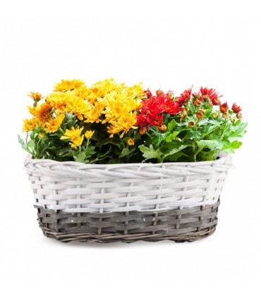 TT KOSZYK OWALNY HL01886.4.3