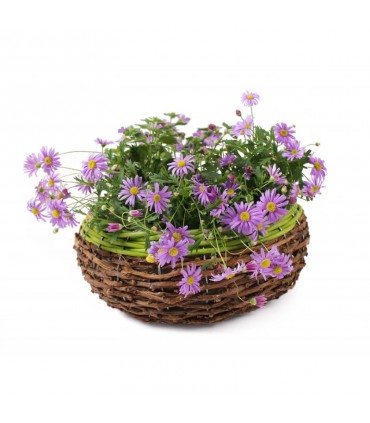 TT - KOSZYK DO OBSADZANIA GD80121.WBRZ.2.L