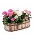 TT - OSŁONA Z BRZOZY OWALNA 50cm TD068.50.F
