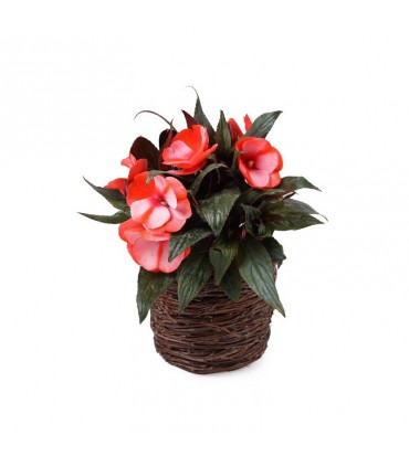 TT - OSŁONKA BRZOZA ŚR. 14cm TD063.14