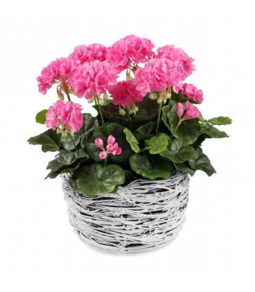 TT - OSŁONKA BRZOZA ŚR. 24cm BIAŁA 