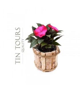 TT - OSŁONKA Z BRZOZY TD041.F