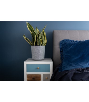 DONICA GAMA 250 textil - b/czarny + t/k31