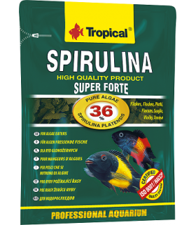 TROPICAL SUPER SPIRULINA FORTE 36% 12g