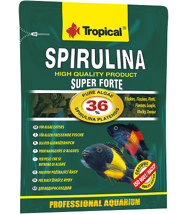 TROPICAL SUPER SPIRULINA FORTE 36% 12g
