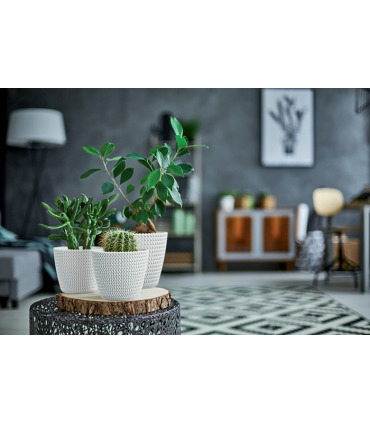 PST - DONICA SPLOFY 190 - KREM