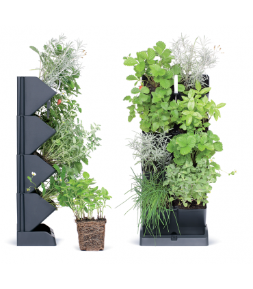 PST - Ogród wertykalny stojący MINI CASCADE antr.