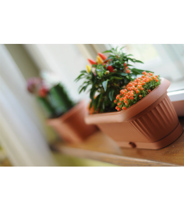 PST - SKRZYNKA TERRA 265 - TERAKOTA