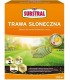 SUB - TRAWA SAMO ZAGĘSZCZAJĄCA SŁOŃCE 2,25kg