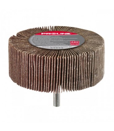 ŚCIERNICA LISTKOWA TRZPIENIOWA, A100, 80x30