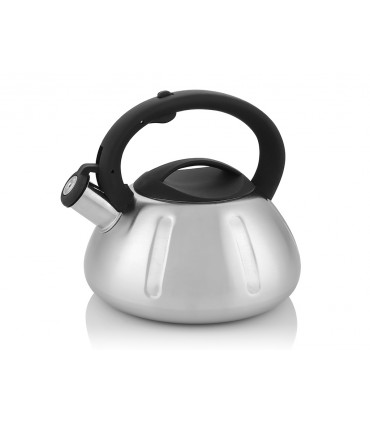 CZAJNIK NIERDZEWNY 2,6L GEORGE LINE