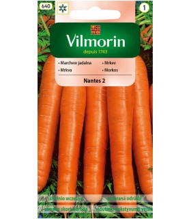 V - MARCHEW NANTES 2 5g /1/
