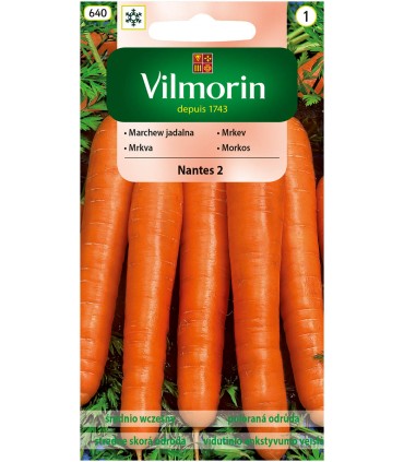V - MARCHEW NANTES 2 5g /1/