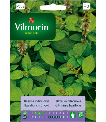 VPZ BAZYLIA CYTRYNOWA 0,5G (P3)