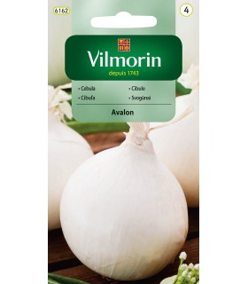 V - CEBULA AVALON 3G (4)