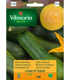 VP - DYNIA PIŻMOWA LUNGA DI NAPOLI 2g /P3/