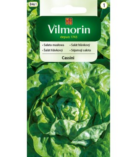 V - SAŁATA CASSINI 0,5g /1/