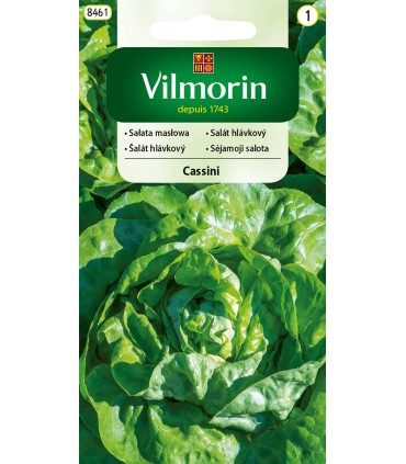 V - SAŁATA CASSINI 0,5g /1/