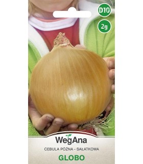 W CEBULA GLOBO (CUKROWA) 2g /D10/