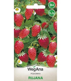 W POZIOMKA RUJANA 0,2g /D4/