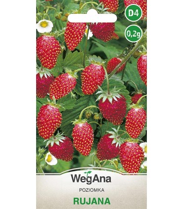 W POZIOMKA RUJANA 0,2g /D4/