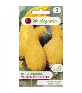L - DYNIA OZDOBNA YELLOW CROOCKNECK 1g /2/