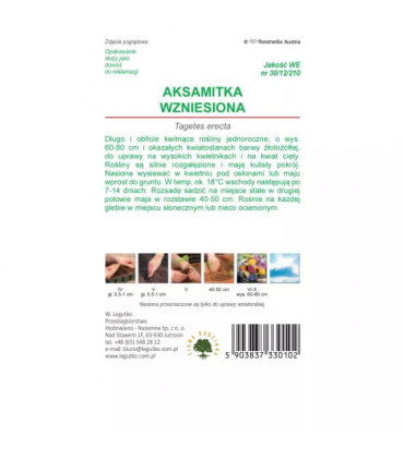 L - AKSAMITKA WZNIES. ZŁOTO-ŻÓŁTA 1g /1/