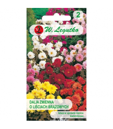 L - DALIA KARŁ. DIABOLO 1g /2/