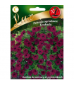 L - LUX PETUNIA KASKADA PURPUROWA 0,02g /4/