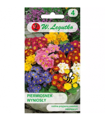 L - PIERWIOSNEK WYNIOSŁY MIX 0,3g /2/