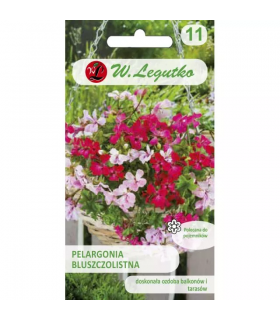 L - PELARGONIA BLUSZCZ. ZW. SPEEDY F2 mix 5N /7/