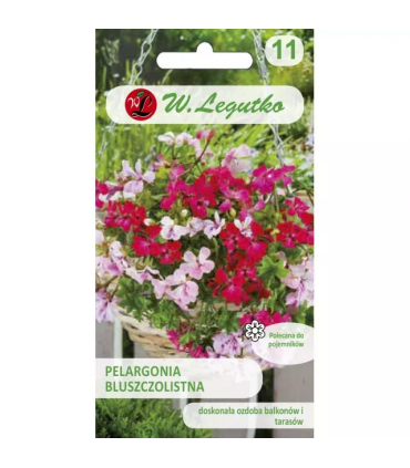 L - PELARGONIA BLUSZCZ. ZW. SPEEDY F2 mix 5N /7/