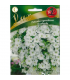 L - LUX PETUNIA O PĘDACH ZWIS. BIAŁA 0,02g /4/