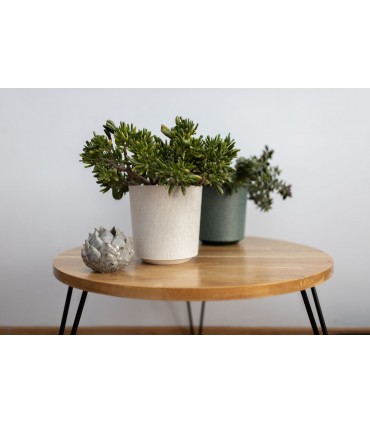 DONICA GAMA 190 textil - b/kremowy + t/k21