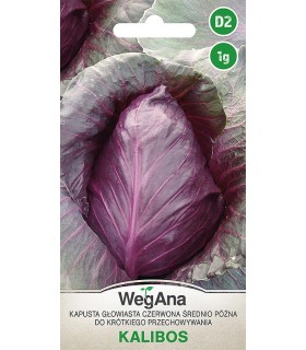 W KAPUSTA CZERW. KALIBOS 1g /D2/