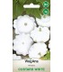 W DYNIA ZW. PATISON CUSTARD WHITE 3g /D4/