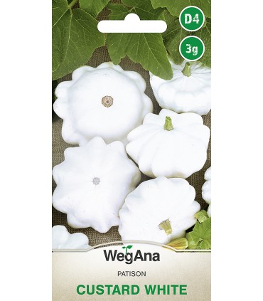 W DYNIA ZW. PATISON CUSTARD WHITE 3g /D4/