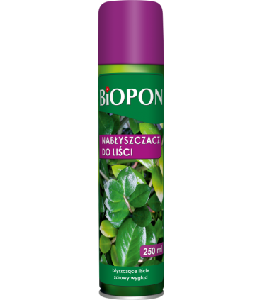 BOPON NABŁYSZCZACZ DO LIŚCI 250ml