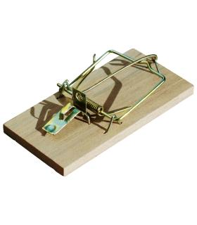 BROS MY - ŁAPKA NA MYSZY DREWNIANA 1szt.