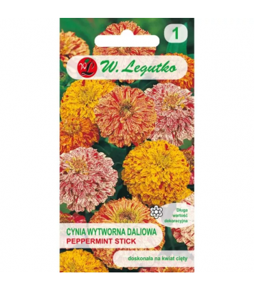 L - CYNIA DALIOWA PEPERMINT STICK 1g /1/