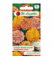 L - CYNIA DALIOWA PEPERMINT STICK 1g /1/