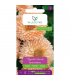 L - NAGIETEK LEKARSKI APRICOT BEAUTY 2g /1/