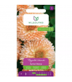 L - NAGIETEK LEKARSKI APRICOT BEAUTY 2g /1/