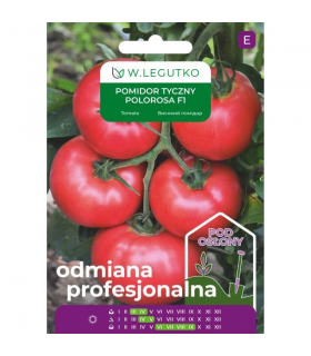 PROFI POMIDOR POD OSŁONY POLOROSA F1 15nas /9/